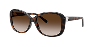 Tiffany & Co. TF3077 XL (60 - 17) with Brown lenses and Gold frame