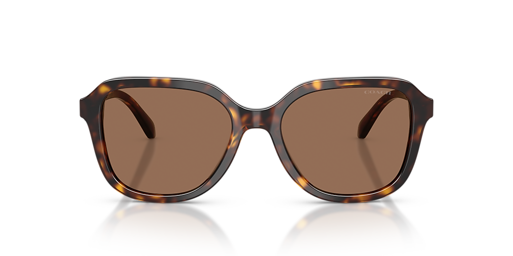 Coach HC8437F CBY89 L (56 - 17) with Brown lenses and Tortoise