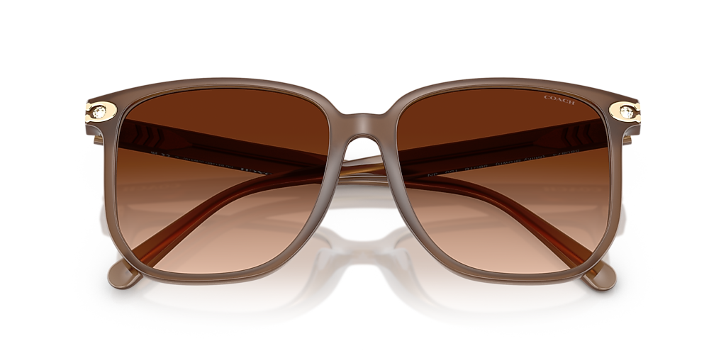 Coach CW419 XL (58 - 16) with Brown lenses and Brown frame