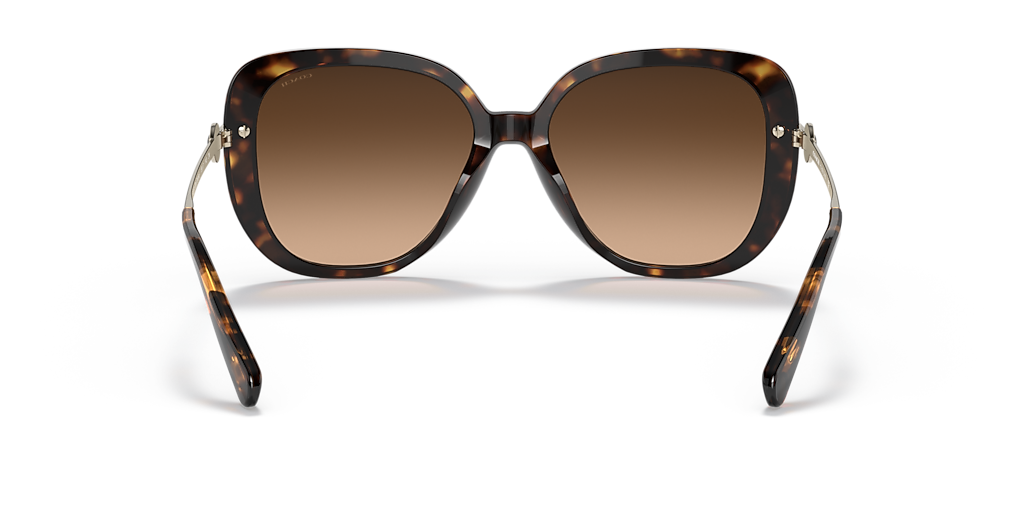 Coach C6180 XL (55 - 17) with Brown lenses and Tortoise frame