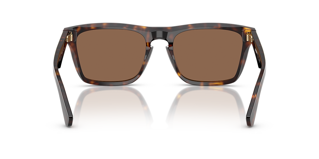 Burberry BE4434 L (57 - 20) with Brown lenses and Brown frame
