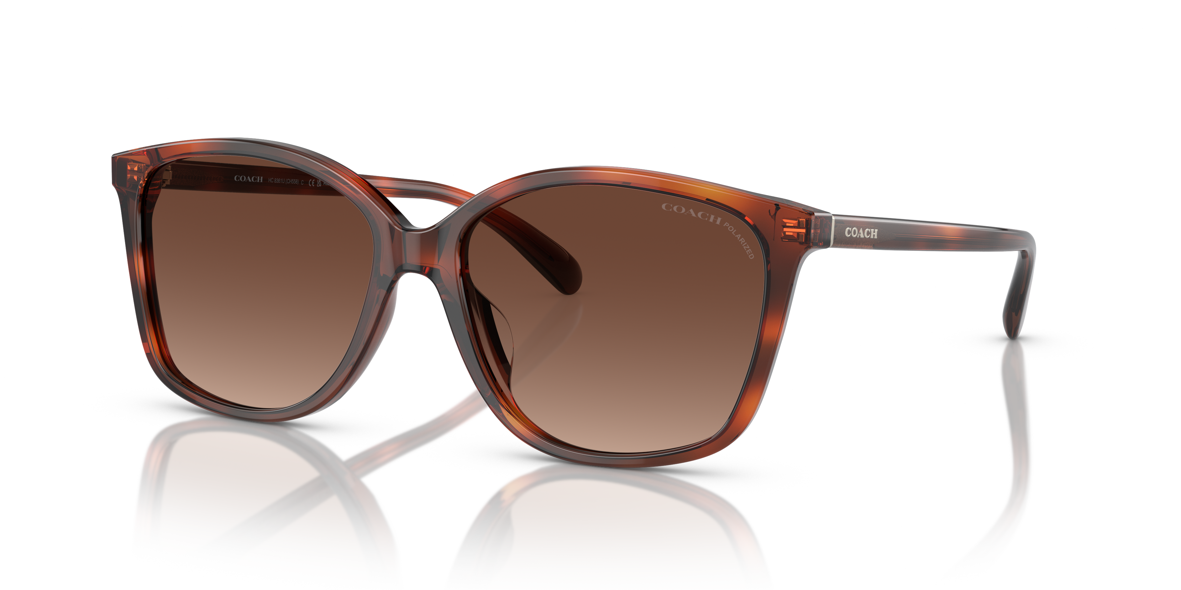 Coach CH558 M (57 - 16) with Brown lenses and Tortoise frame