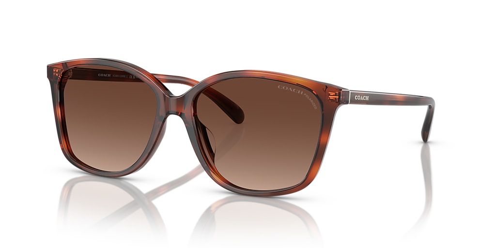 Coach CH558 M (57 - 16) with Brown lenses and Tortoise frame