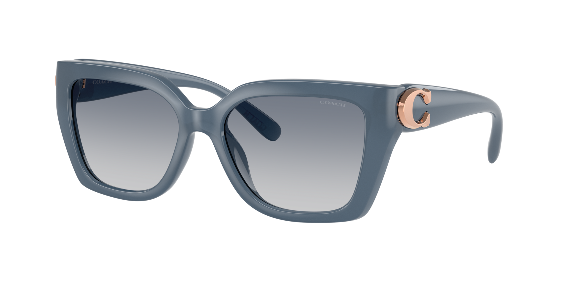 Coach CW195 M (55 - 17) with Blue lenses and Blue frame | Sunglass