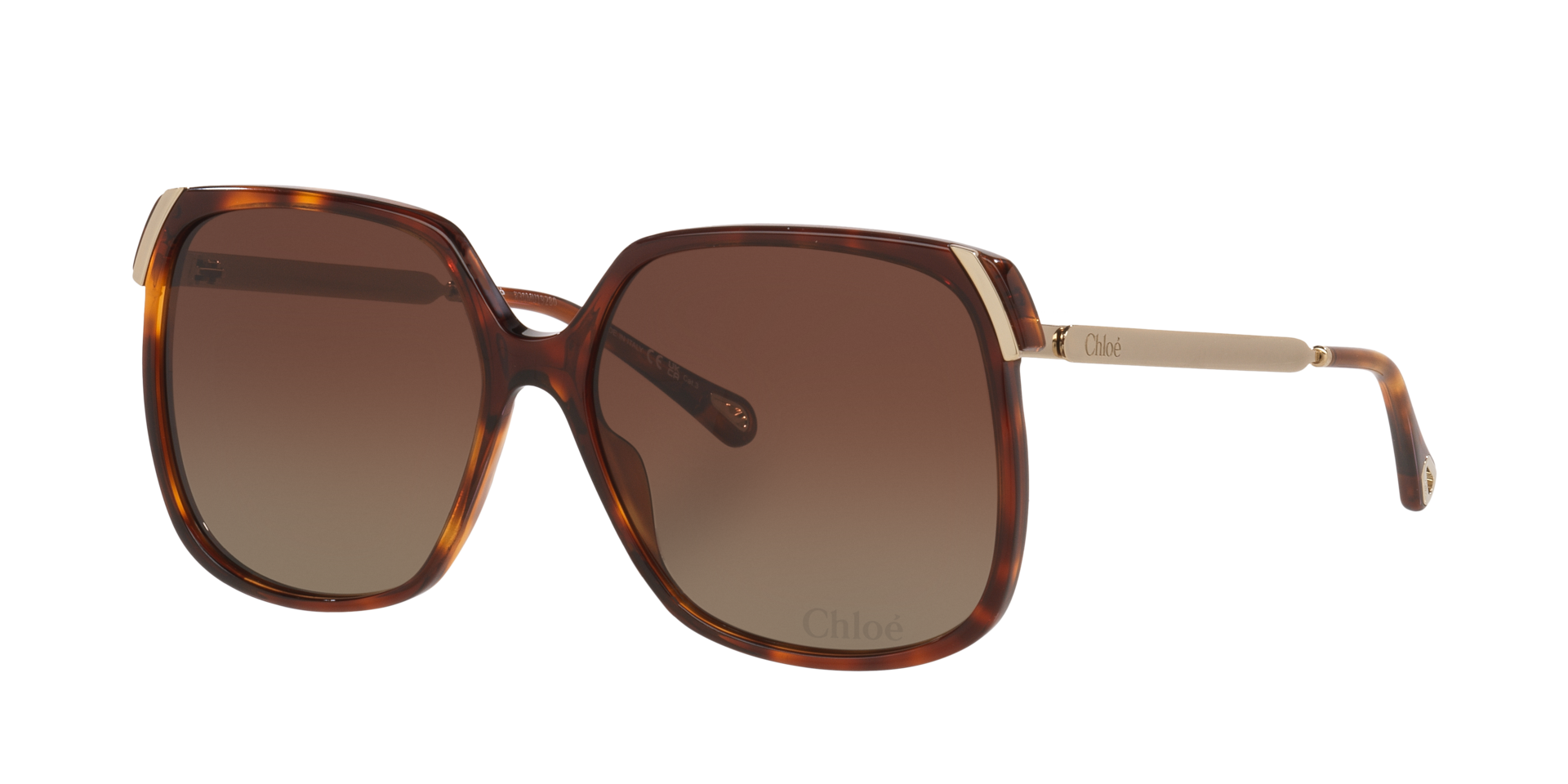 Chloé CH0286S XL (60 - 15) with Brown lenses and Tortoise frame