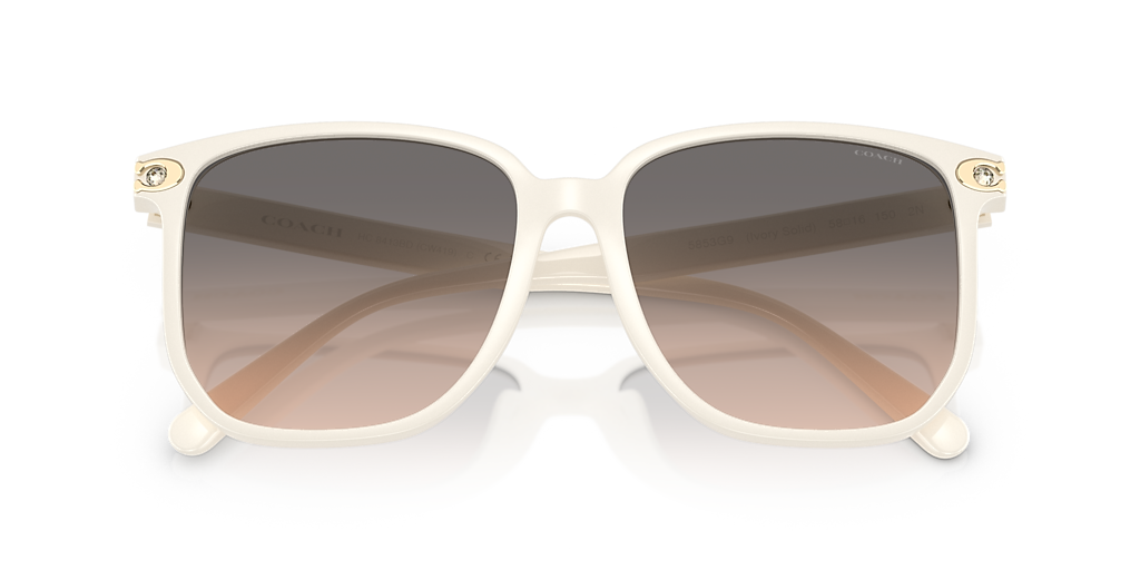 Coach CW419 XL (58 - 16) with Grey lenses and Beige frame
