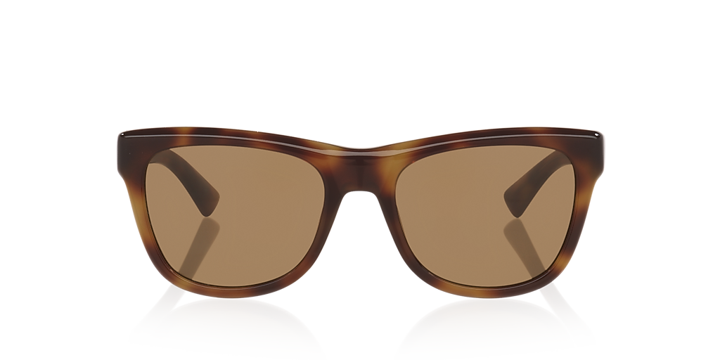 Saint Laurent SL816 M (54 - 19) with Brown lenses and Tortoise
