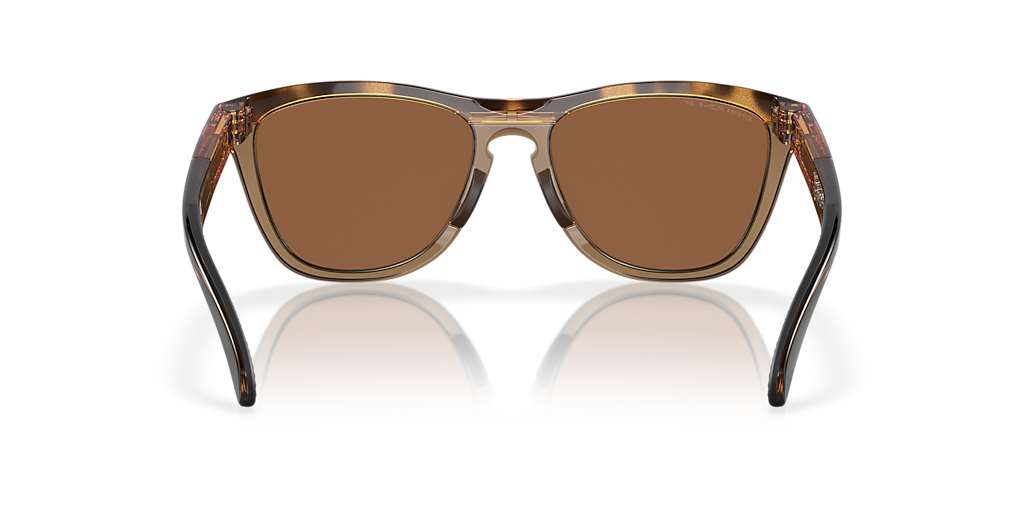 Oakley Frogskins™ Range L (55 - 17) with Brown lenses and Brown