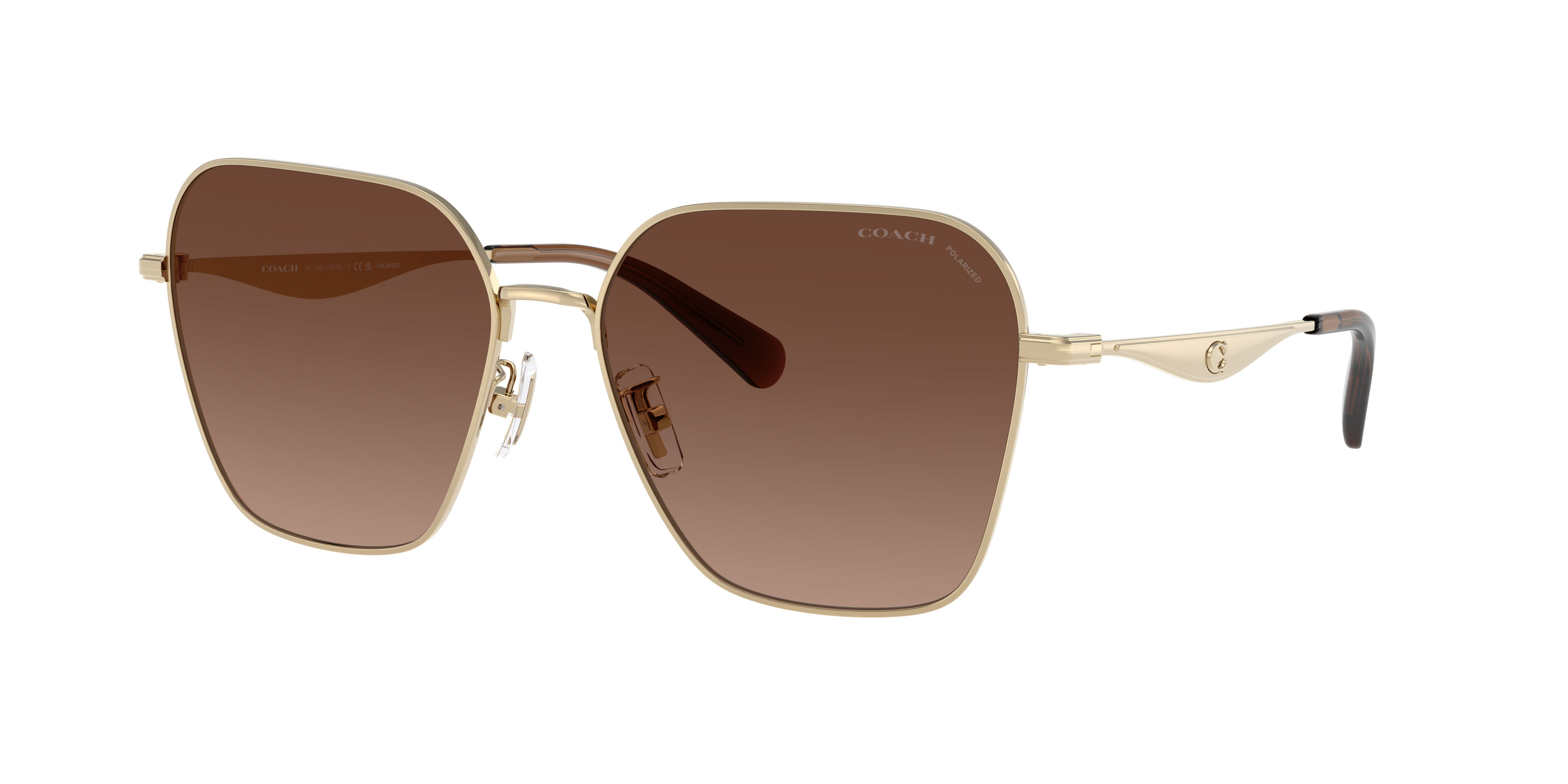 Coach CW189 XL (58 - 16) with Brown lenses and Gold frame