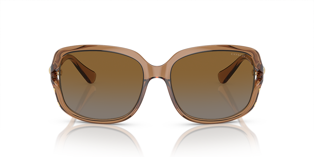 Coach L149 S (57 - 16) with Brown lenses and Brown frame