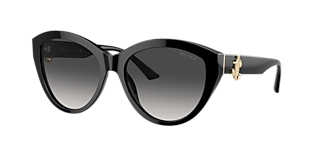 Jimmy Choo JC5007 M (55 - 17) with Brown lenses and Tortoise frame