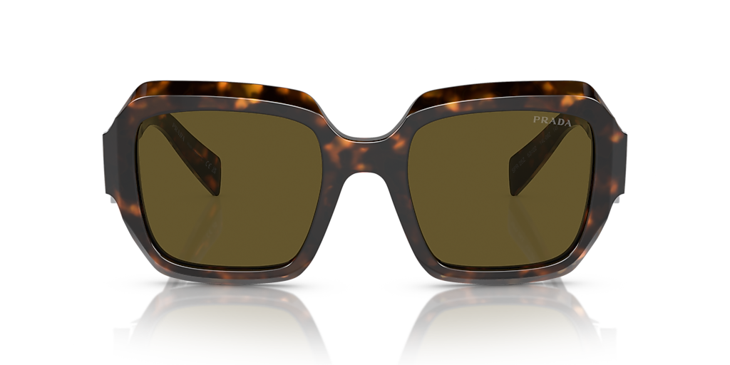 Prada PR 28ZS M (53 - 22) with Brown lenses and Green frame
