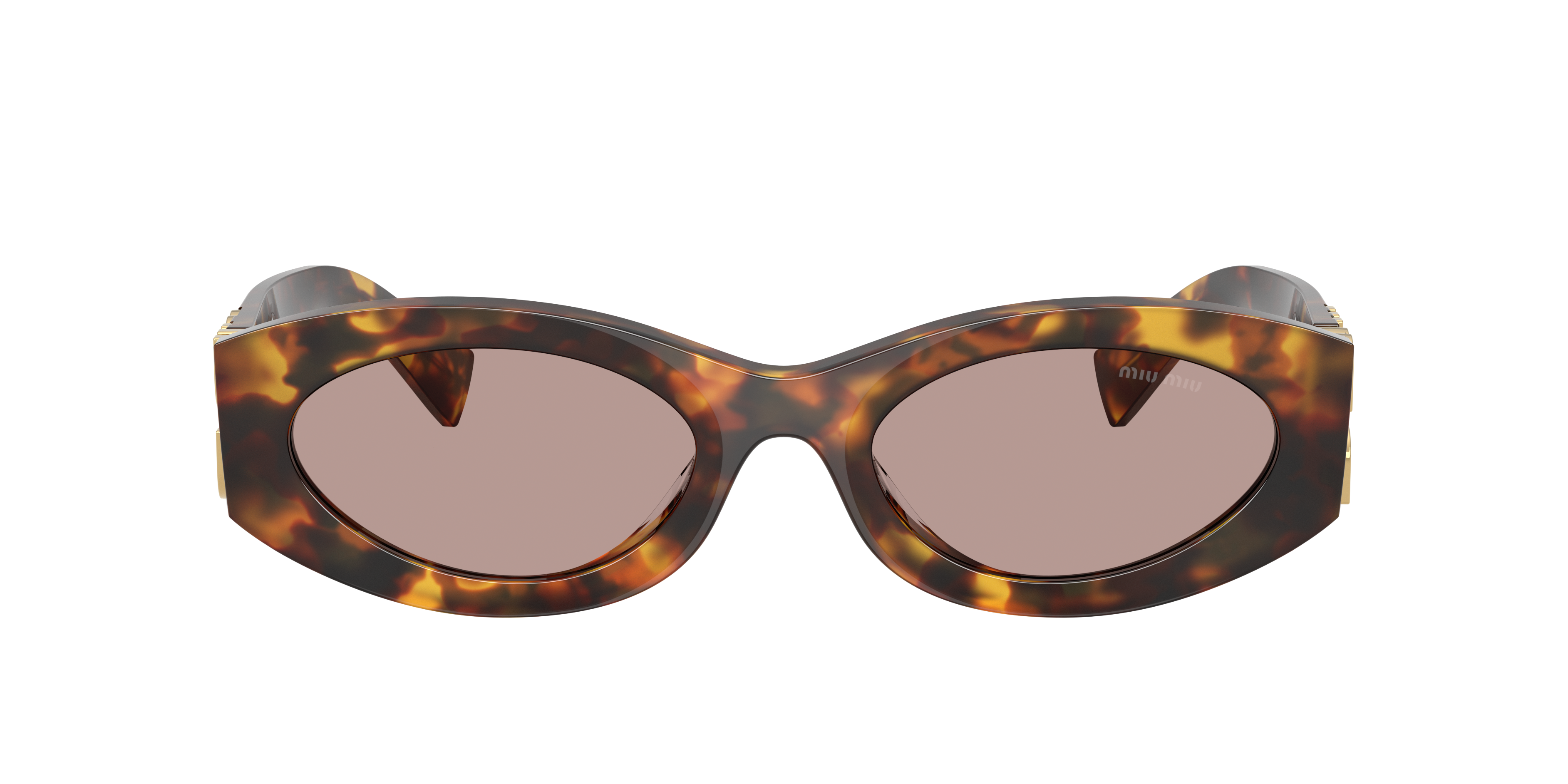 【Miu♡】 Miu Miu MU 11WS XL (54 - 21) with Violet lenses and Tortoise frame