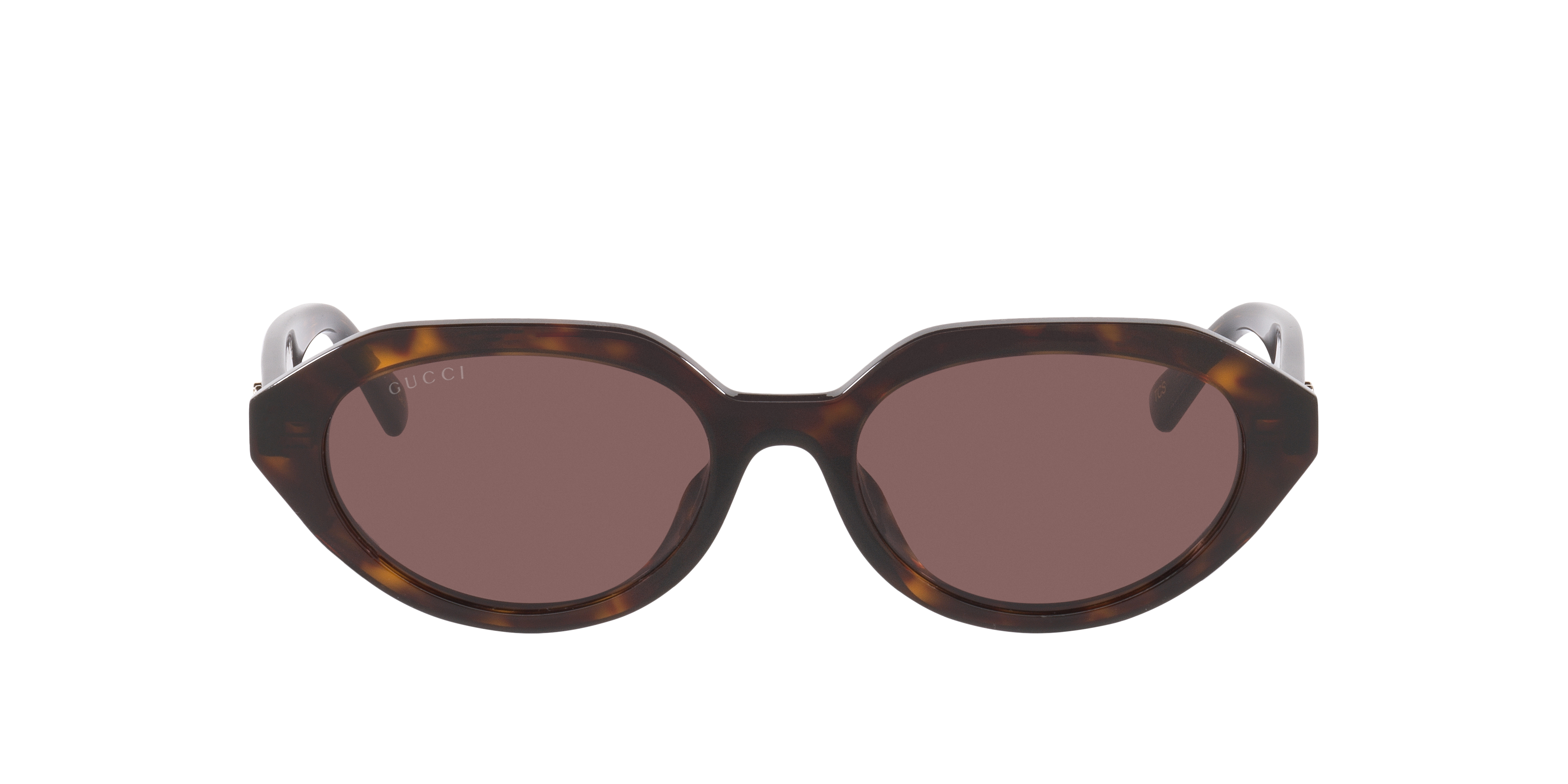 Gucci GG2178S S (53 - 18) with Brown lenses and Tortoise frame