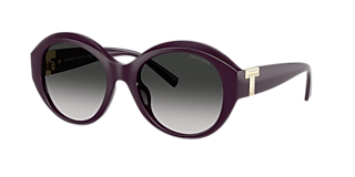 Tiffany & Co. TF4223D XL (54 - 20) with Grey lenses and Black