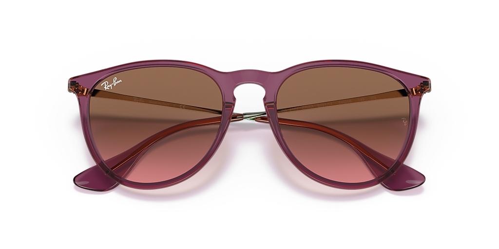 Ray-Ban Erika Classic M (54 - 18) with Pink lenses and Violet