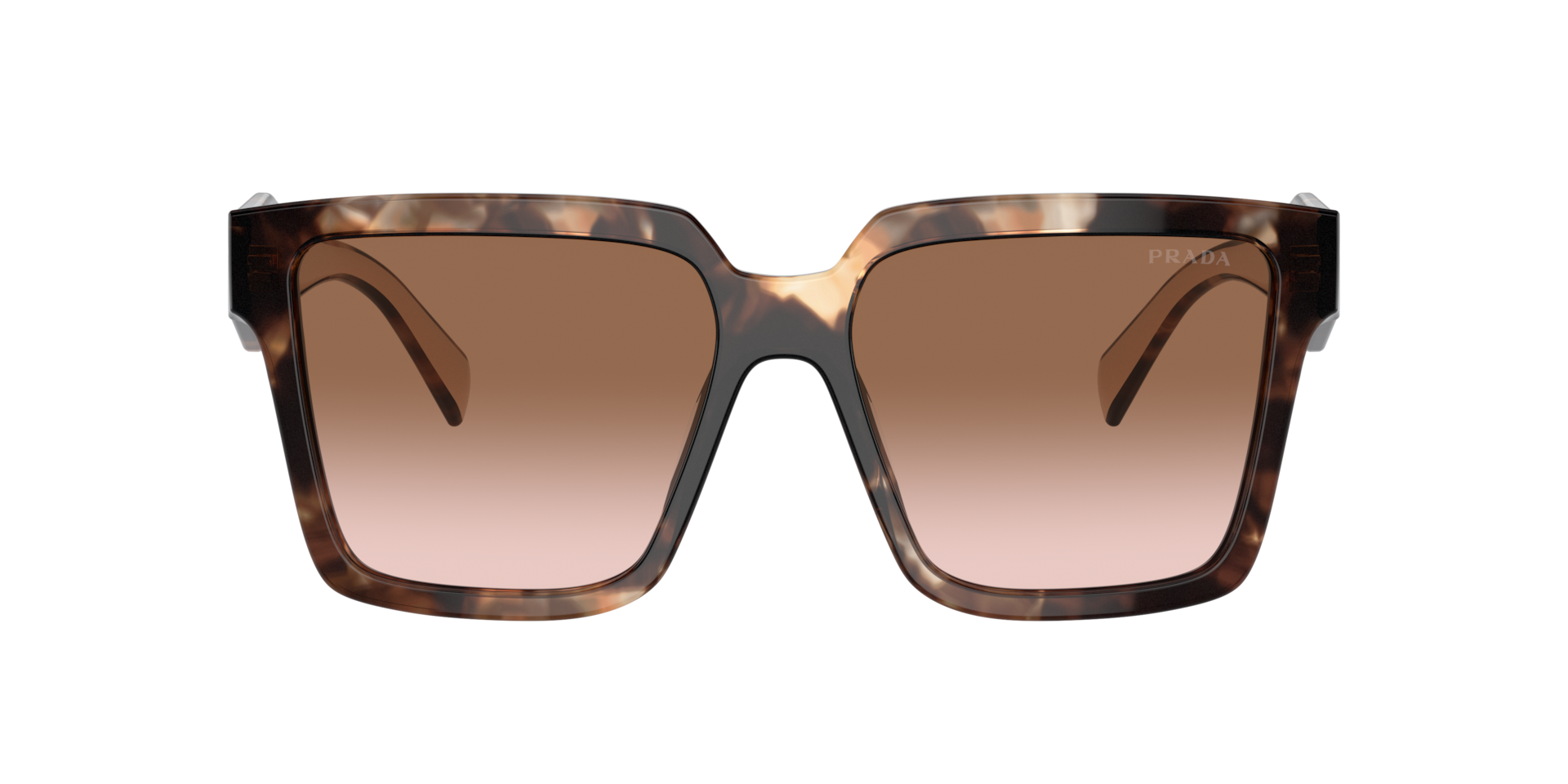 Prada PR 24ZS M (56 - 16) with Brown lenses and Tortoise frame