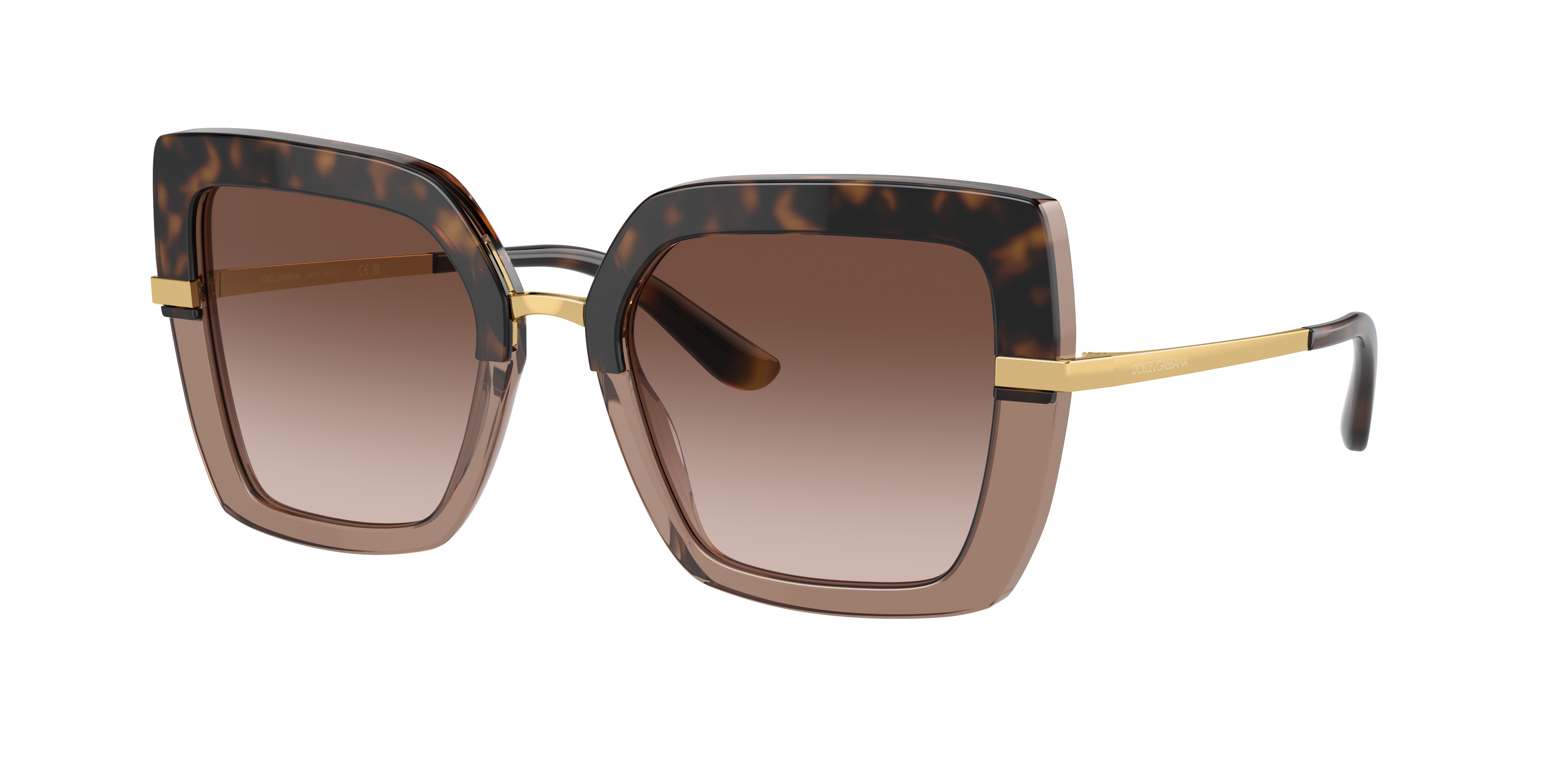 Dolce&Gabbana DG4373 XL (52 - 21) with Brown lenses and Tortoise