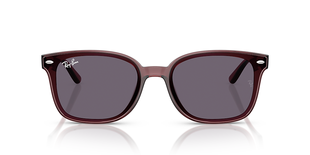 Ray-Ban RB4461D L (64 - 17) with Violet lenses and Brown frame