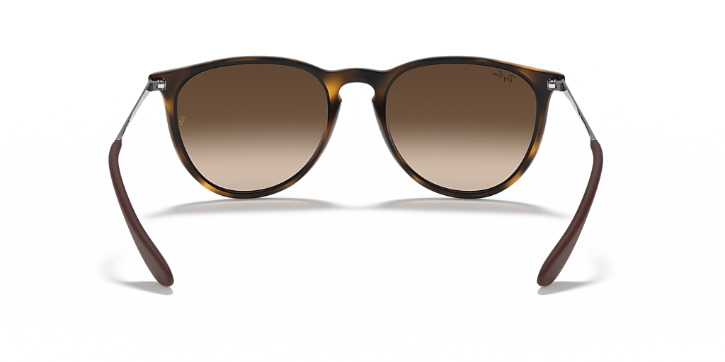 Ray-Ban Erika Classic M (54 - 18) with Brown lenses and Brown