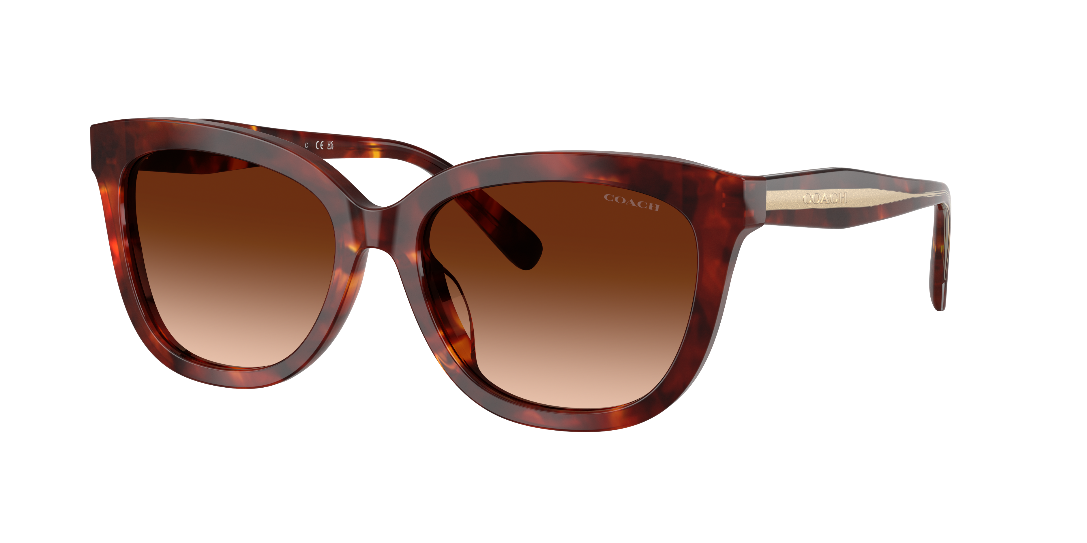 Coach Woman Sunglass CDP53 -  Frame color: Walnut Tortoise, Lens color: Brown Gradient