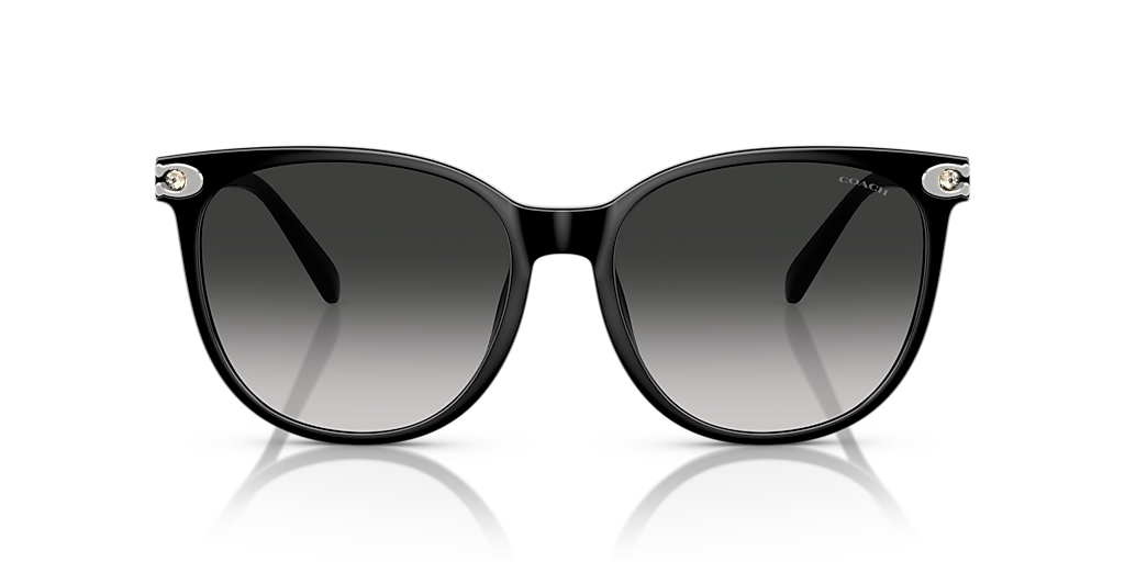 Coach CW428 L (57 - 17) with Grey lenses and Black frame