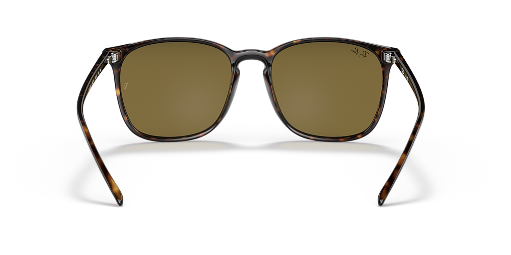 Ray-Ban RB4387 M (55 - 18) with Brown lenses and Tortoise frame