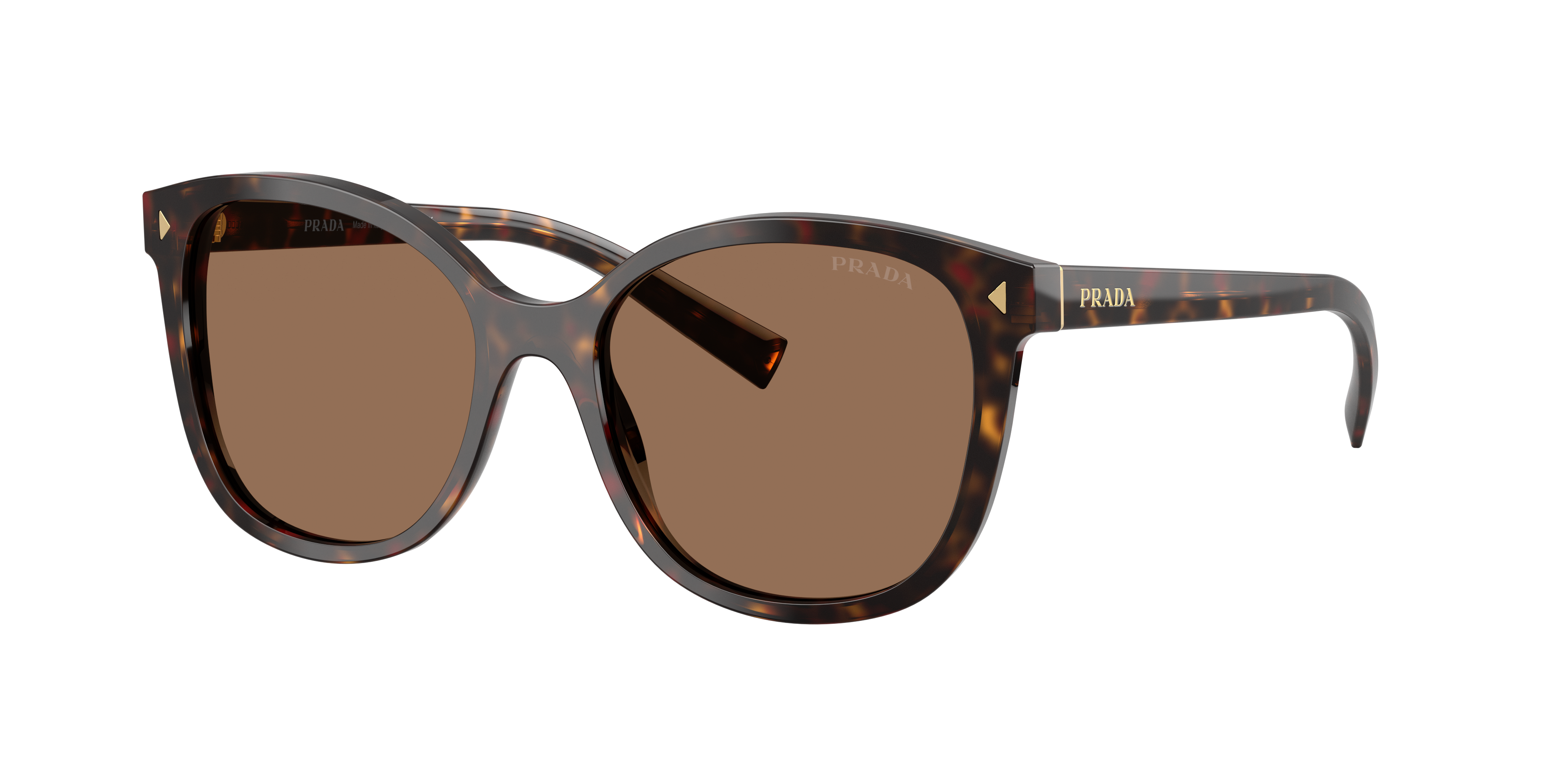 Prada PR 22ZSF M (55 - 16) with Brown lenses and Tortoise frame