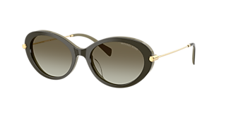 Michael Kors Rockaway XL (53 - 18) with Green lenses and Green