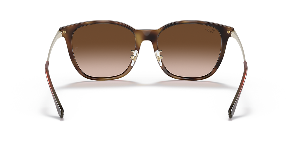 Ray-Ban RB4333D XXL (55 - 17) with Brown lenses and Tortoise frame