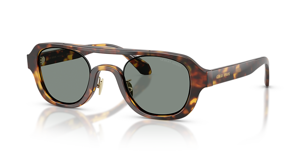 GIORGIO ARMANI イタリア製（48） Giorgio Armani AR8247 L (48 - 26) with Grey lenses and Tortoise