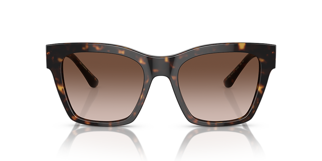 Dolce&Gabbana DG4384 L (53 - 20) with Brown lenses and Tortoise