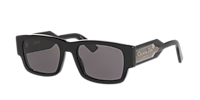DIOR Christinan Dior Label S1I S (54 - 19) with Grey lenses and