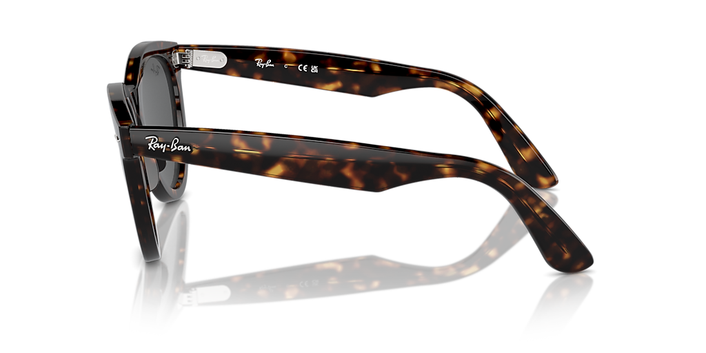 Ray-Ban Wayfarer Way XL (54 - 21) with Grey lenses and Tortoise