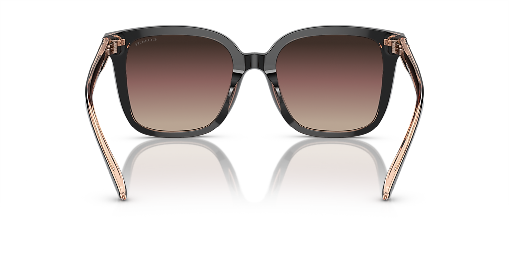 Coach HC8381F CL919 XL (56 - 19) with Violet lenses and Black