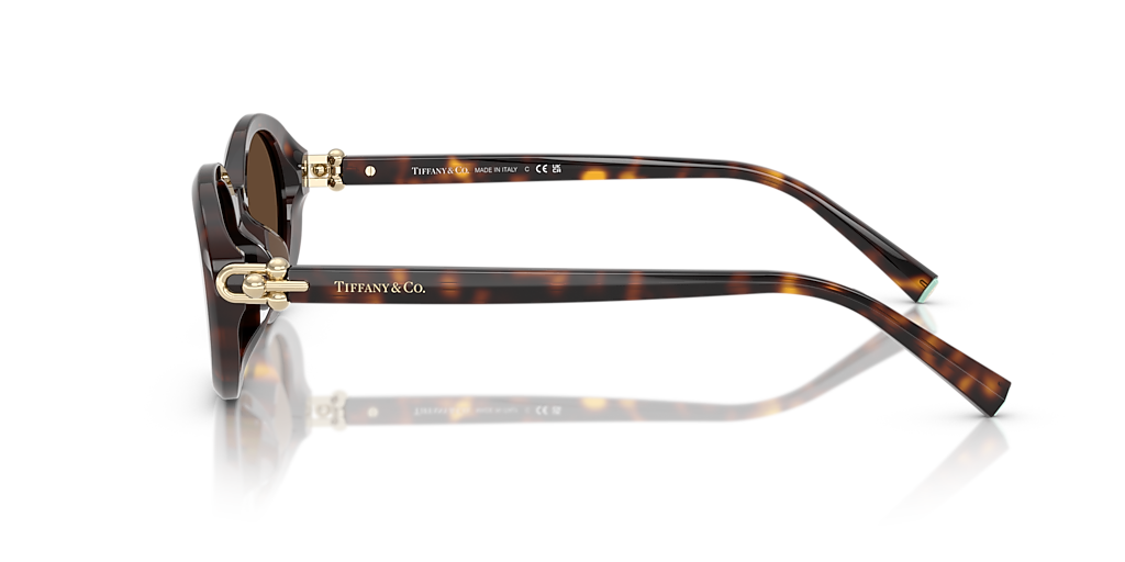 Tiffany & Co. TF4242D XXL (54 - 19) with Brown lenses and Tortoise