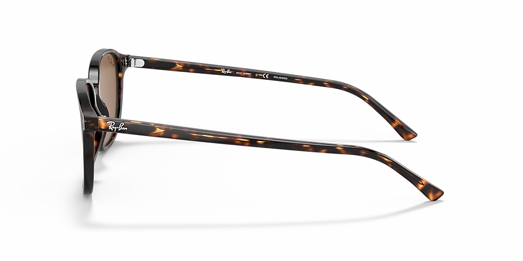 Ray-Ban Leonard M (53 - 18) with Brown lenses and Tortoise frame