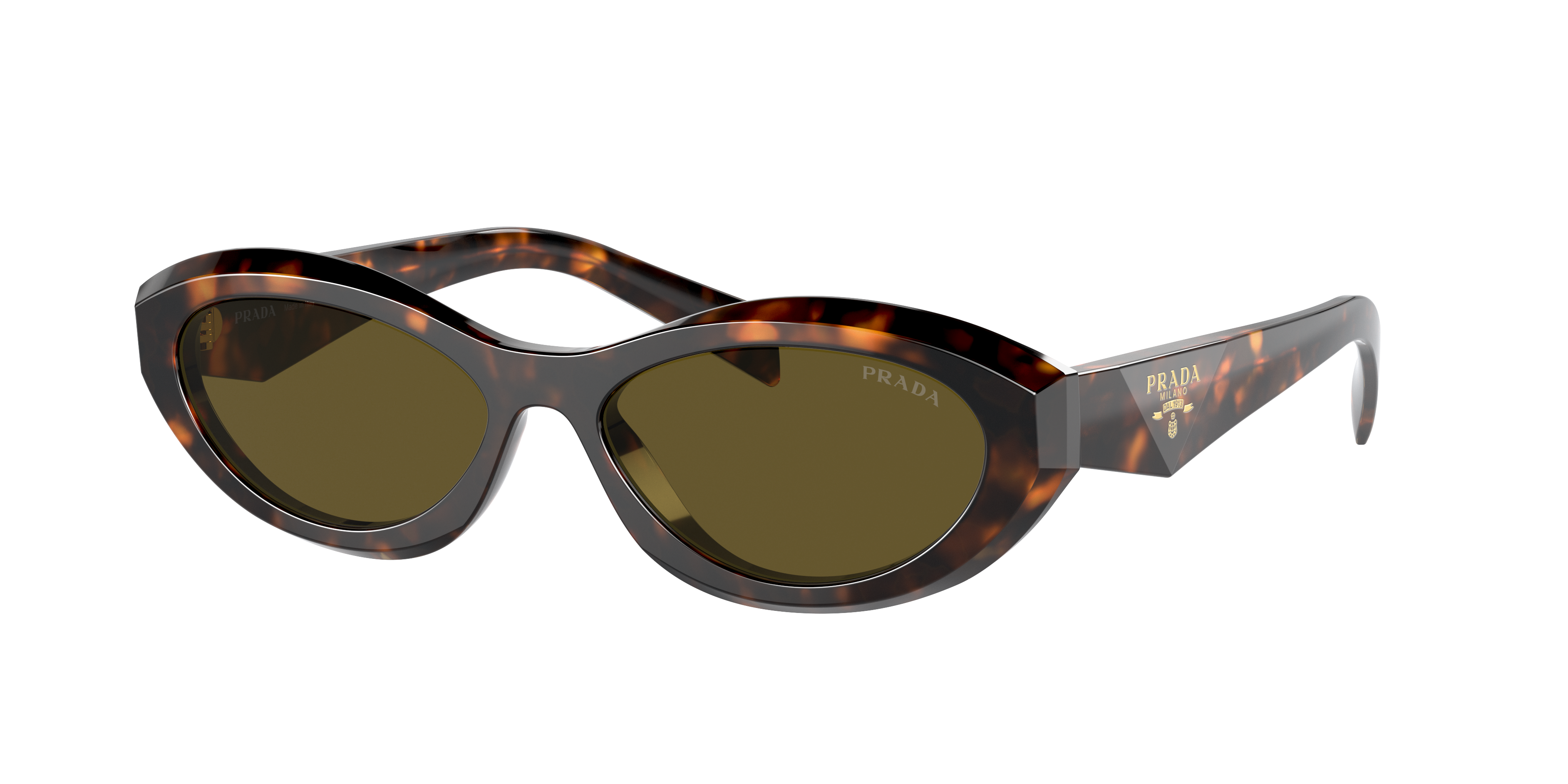 PRADA クロシェベレー IHC266 2M2P ラフィア Prada PR 26ZS M (55 - 16) with Brown lenses and Tortoise frame