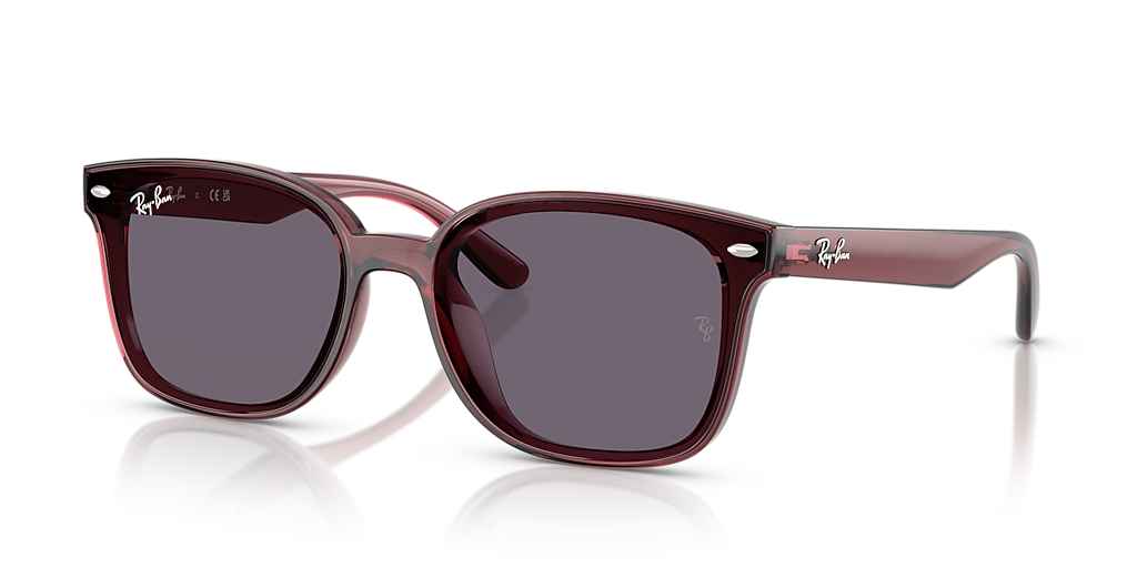 W*E様 Ray-Ban RB4461D サングラス Ray-Ban RB4461D L (64 - 17) with Violet lenses and Brown frame