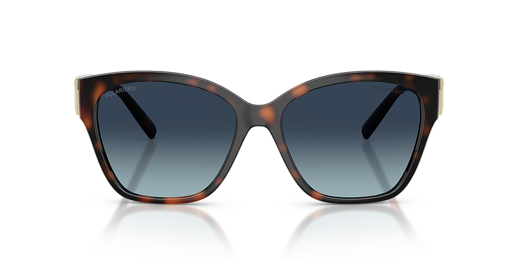 Tiffany & Co. TF4254U XL (56 - 16) with Blue lenses and Tortoise