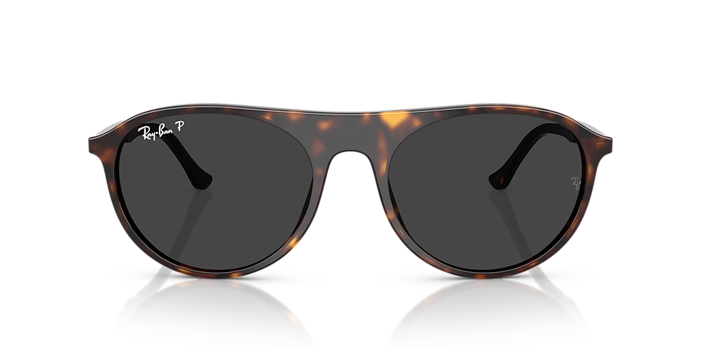 Ray-Ban RB2215 XXL (59 - 20) with Black lenses and Tortoise  display picture 1