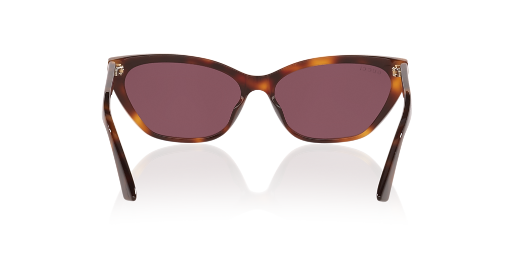 Gucci GG1815S L (58 - 15) with Violet lenses and Tortoise frame