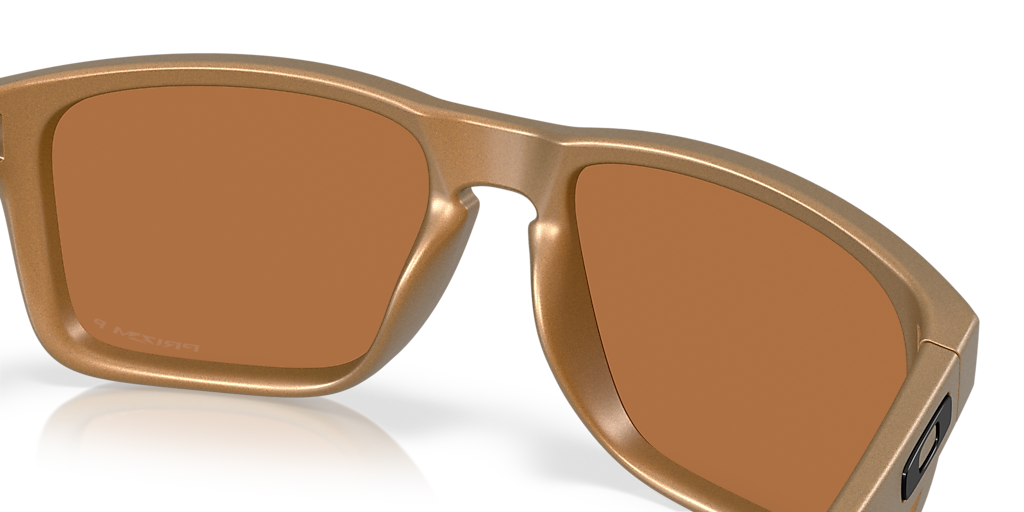 Oakley Holbrook™ XL Alloy Collection XL (59 - 18) with Brown