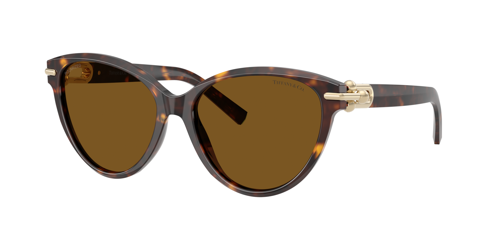 Tiffany & Co. Woman Sunglass TF4261 - Frame color: Havana, Lens color: Dark Brown Polarized