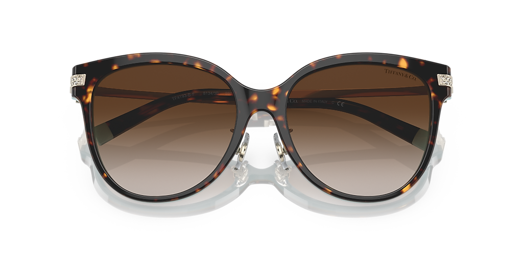 Tiffany & Co. TF4193BF XL (55 - 17) with Brown lenses and Brown