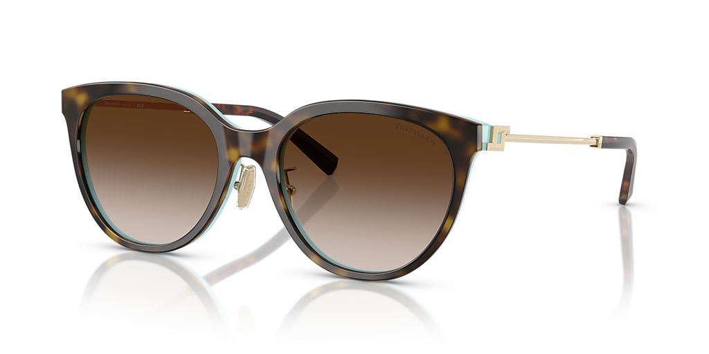Tiffany & Co. TF4243D XL (55 - 19) with Brown lenses and Brown