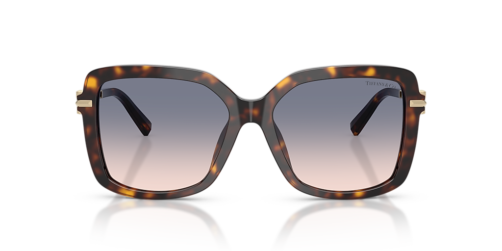 Tiffany  Tiffany & Co. TF4252B XL (55 - 16) with Brown lenses and Tortoise