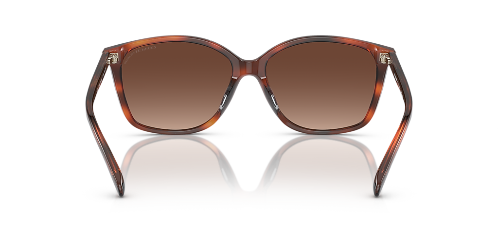 Coach CH558 M (57 - 16) with Brown lenses and Tortoise frame