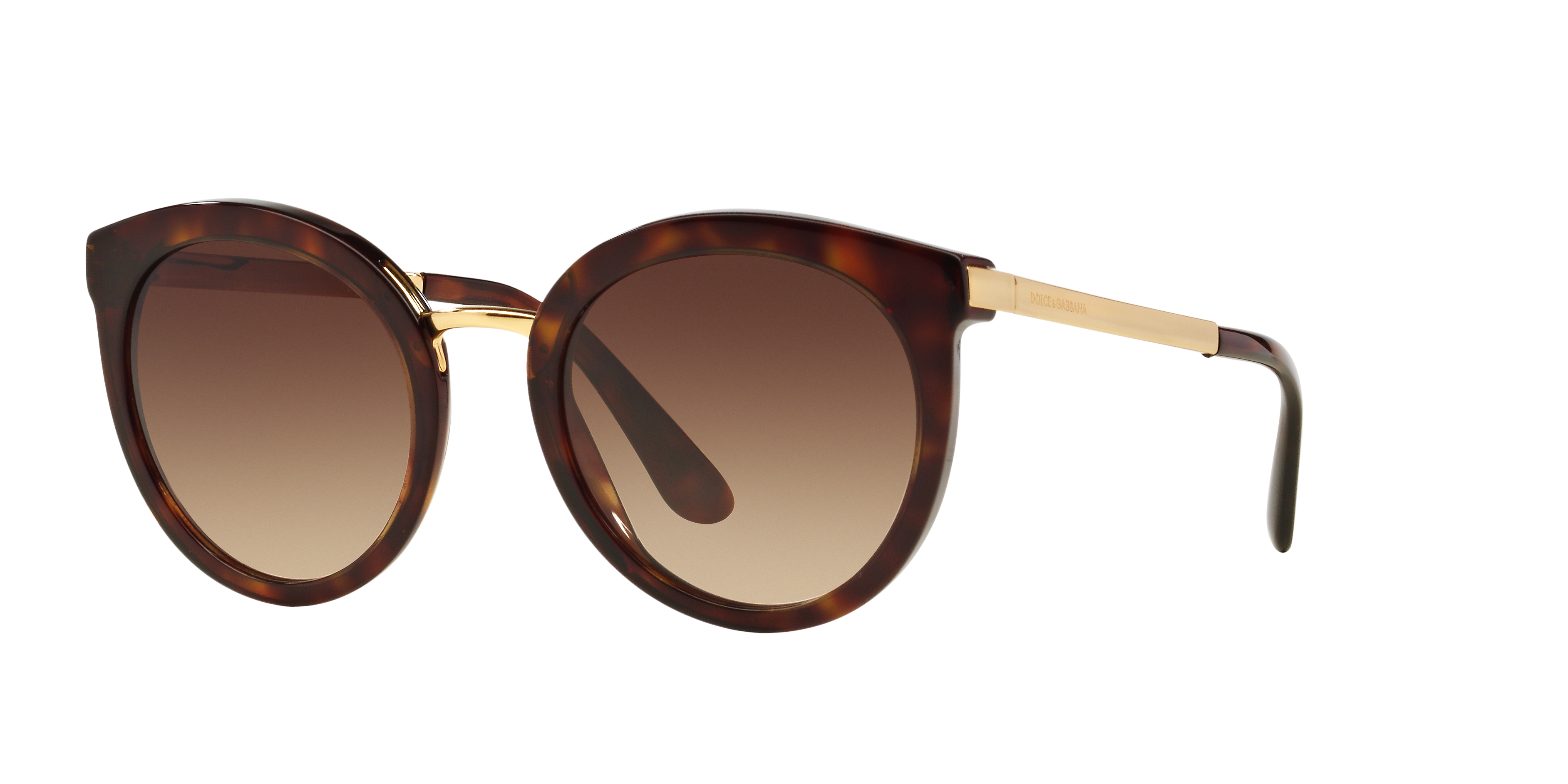 Dolce&Gabbana DG4268 L (52 - 22) with Brown lenses and Tortoise