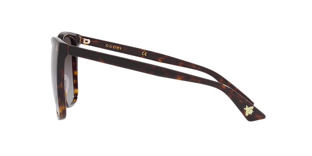 Gucci GG0022S L (57 - 18) with Brown lenses and Tortoise frame